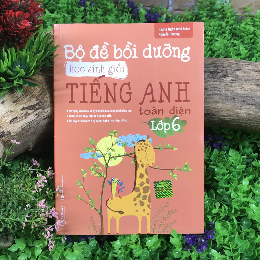 Sách - Bộ Đề Bồi Dưỡng HSG Tiếng Anh Toàn Diện + Tổng Hợp Kiến Thức Và Bài Tập Tiếng Anh - Lớp 6 Tặng kèm Bút Bi