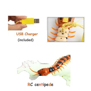 Đồ chơi con rết điều khiển từ xa No.9901