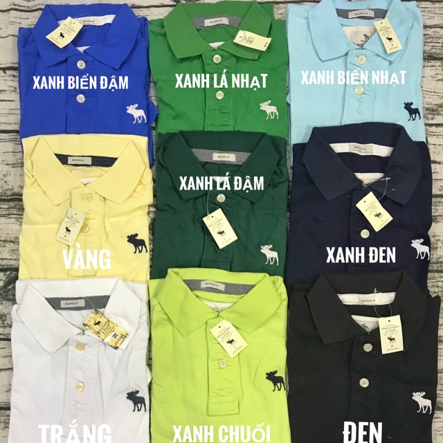  Áo thun cá sấu có cổ chất cotton 100% co giãn 4 chiều form hàng Xuất | BigBuy360 - bigbuy360.vn