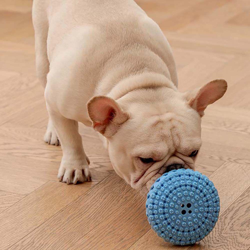 Bóng Cao Su Đồ Chơi Chống Cắn Cho Thú Cưng