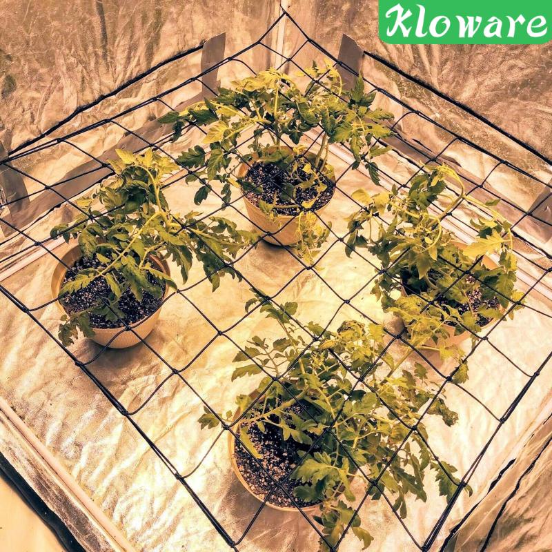 Lưới Mắt Cáo Đàn Hồi Có Móc Treo Cho Lều Trồng Cây/Hoa Thủy Canh