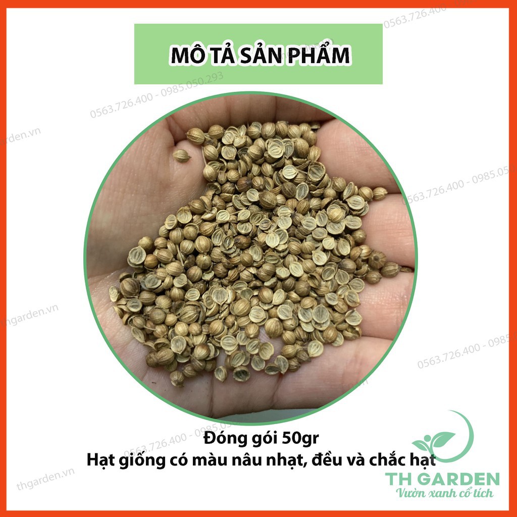 Hạt Giống Mùi Tía Chịu Nhiệt HKT Farm - Gói 50gram - Hạt Giống Mùi  Mùi Ta