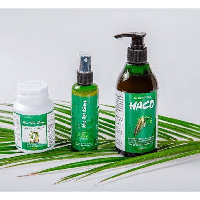 [Chính Hãng]Tóc HACO: 1 Hộp Dầu Gội Haco 300ml | BigBuy360 - bigbuy360.vn