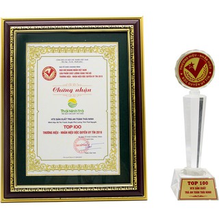 Trà Đinh Nõn Thái Ninh 100G (1 gói 100g)