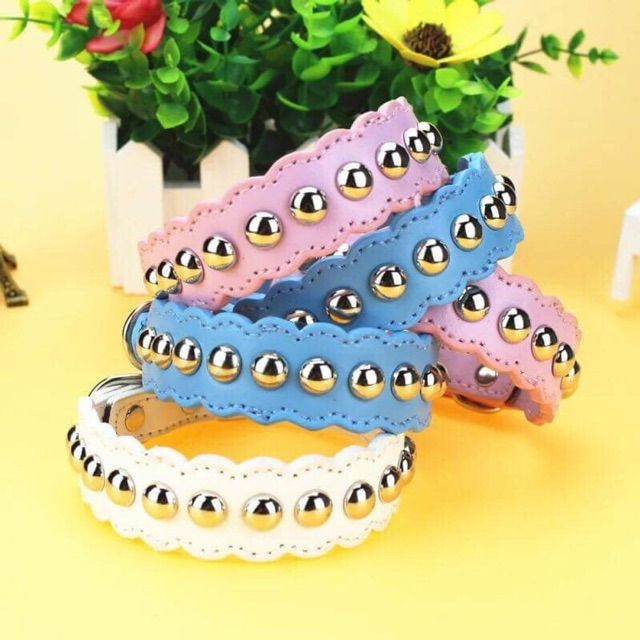 Vòng cổ cho chó mèo