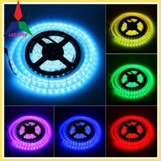 Led dây dán 12v 5054 siêu sáng cuộn 5m