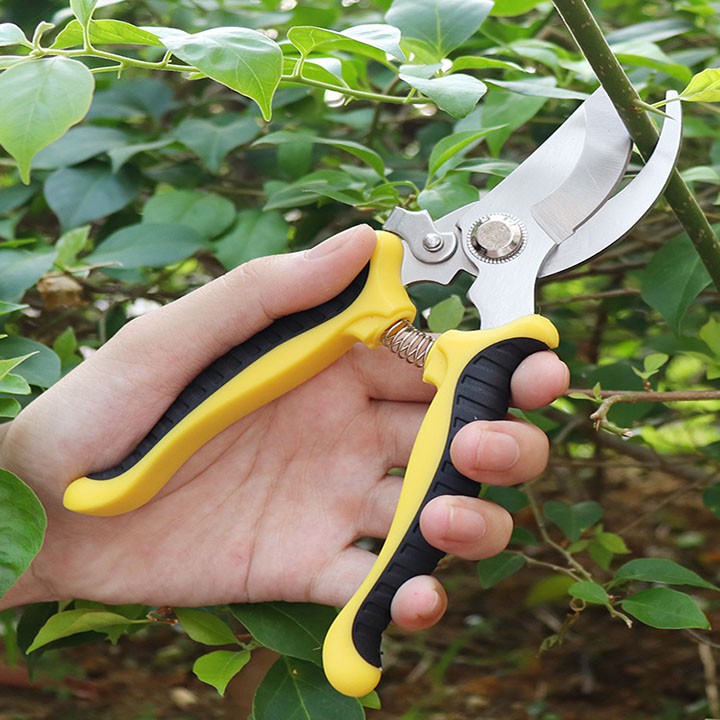 Kéo cắt tỉa cành cây