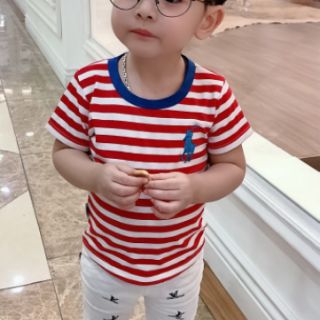 Combo 3 áo kẻ sz 1-7.