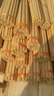 đũa gỗ kim giao