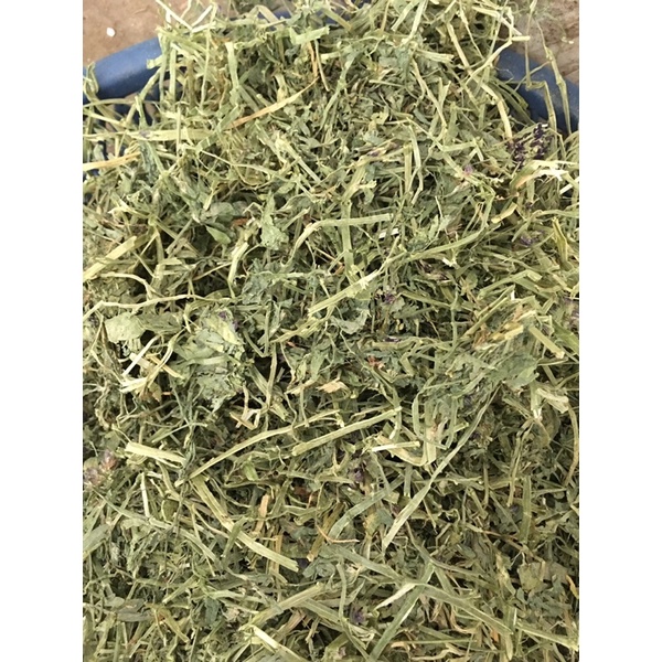 1kg cỏ khô alfalfa hay đã lọc bụi và cắt ngắn