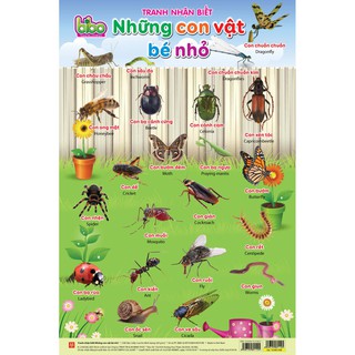 Bộ tranh nhận biết 12 chủ đề BIBO -Rẻ nhất