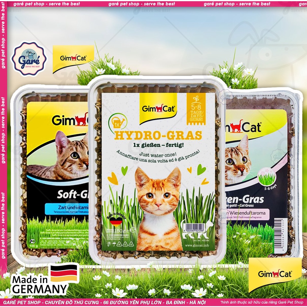 Bộ trồng cỏ mèo Gimcat Hydro-Gras, Soft-Gras, Katzen-Gras siêu dễ trồng không dùng đất - Gimcat Hydro-Gras