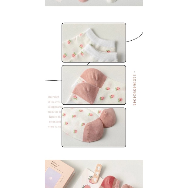 Tất cotton thời trang xuân hè dành cho nữ