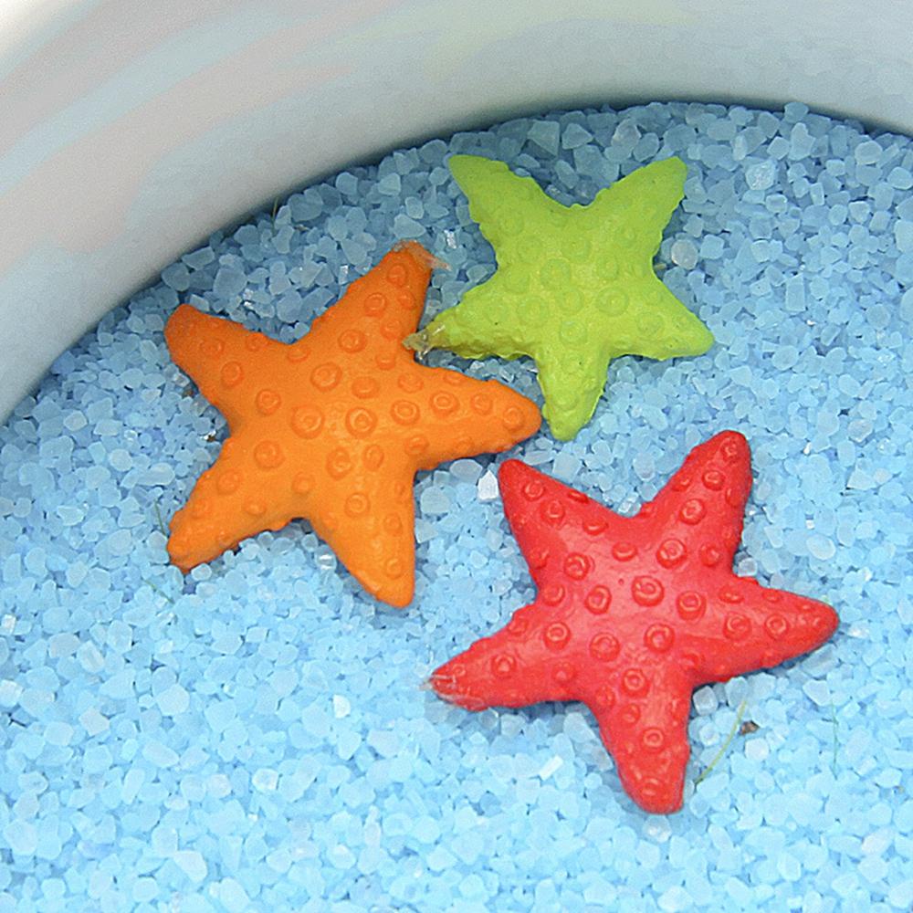 Sao Biển Nhiều Màu Dễ Thương Dùng Trang Trí Bể Cá