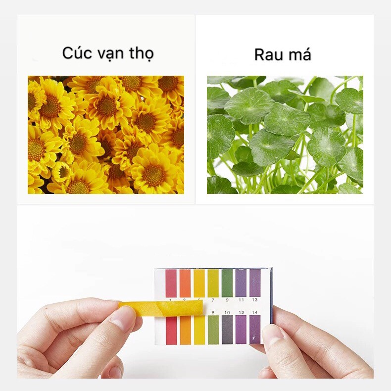 Nước tẩy trang hoa cúc LUCENBASE làm sạch dịu da Calendula Soothing Make Up Remover LUCB31 | BigBuy360 - bigbuy360.vn