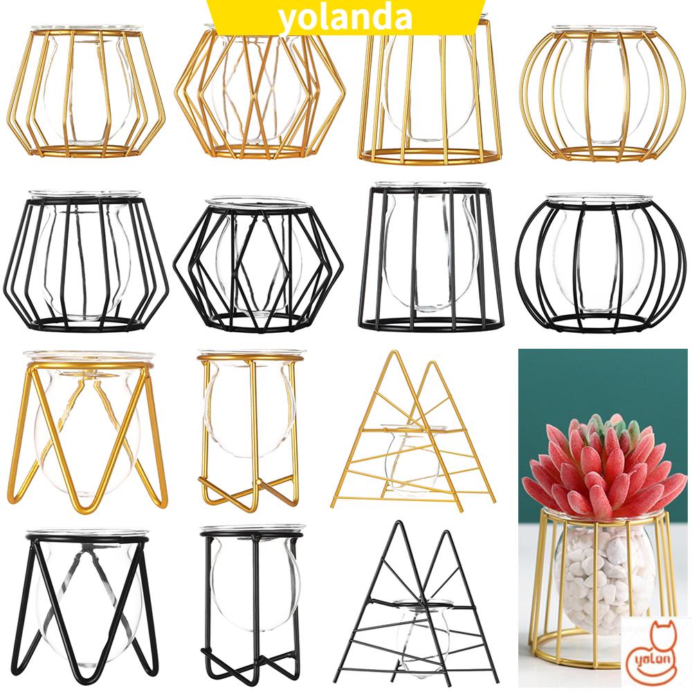 Bộ bình Terrarium trồng cây bằng thủy tinh phối lồng sắt