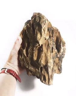 1 KG ĐÁ TIGER SETUP BỂ THUỶ SINH