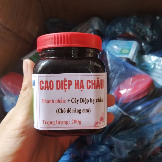 200g cao diệp hạ châu