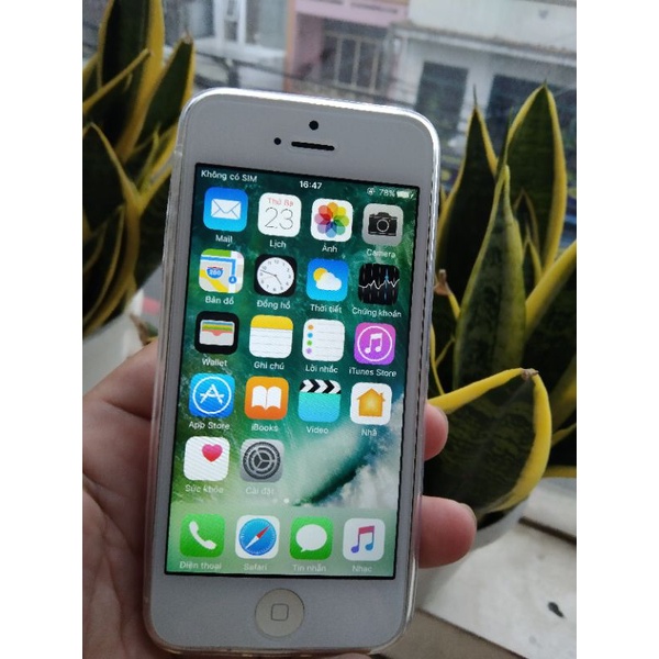 Điện thoại iPhone 5 Quốc tế (16GB)