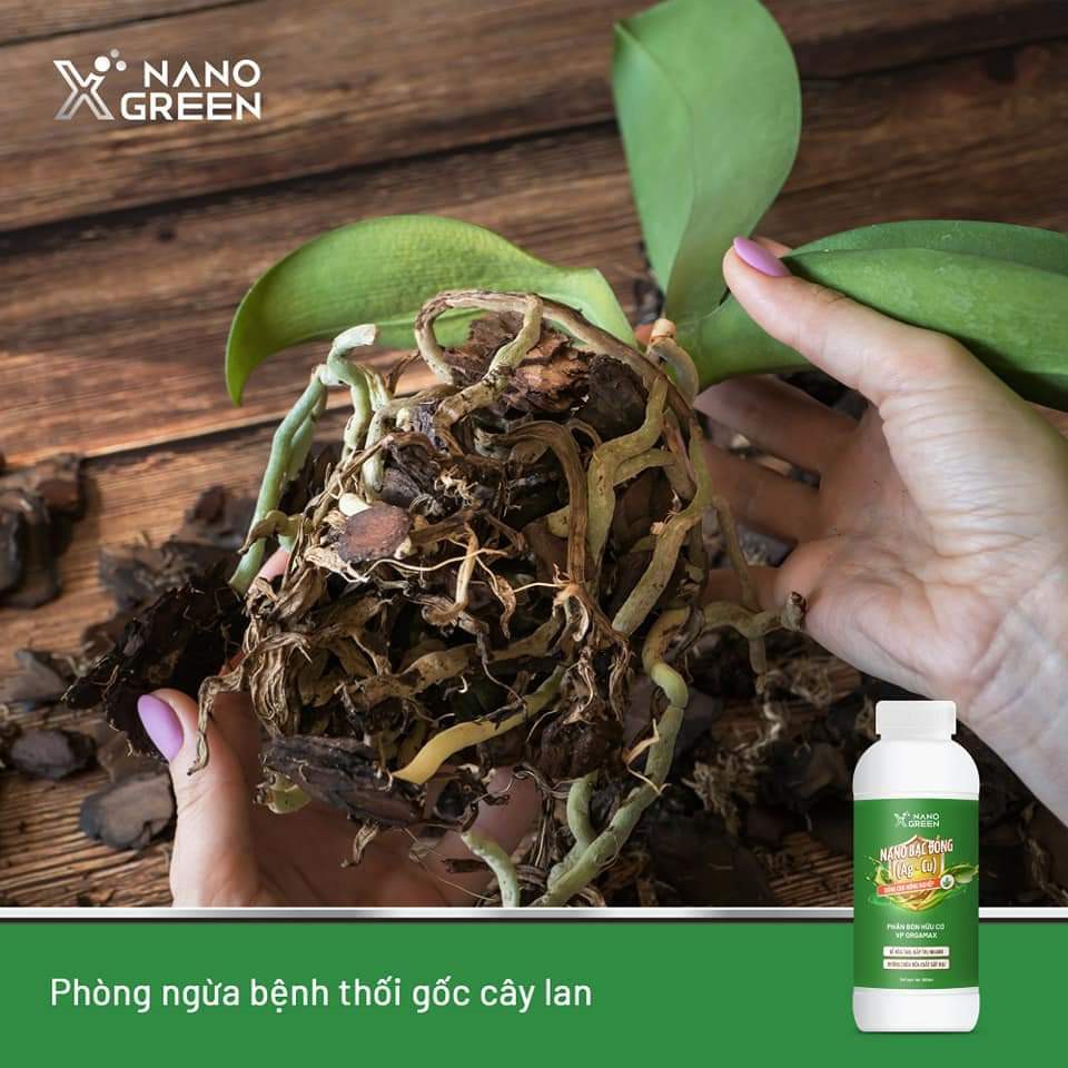 Nano bạc Nano Xgreen cung cấp dưỡng chất, tăng đề khoáng, hỗ trợ cho cây có triệu chứng vàng lá, thối rễ 1000ml