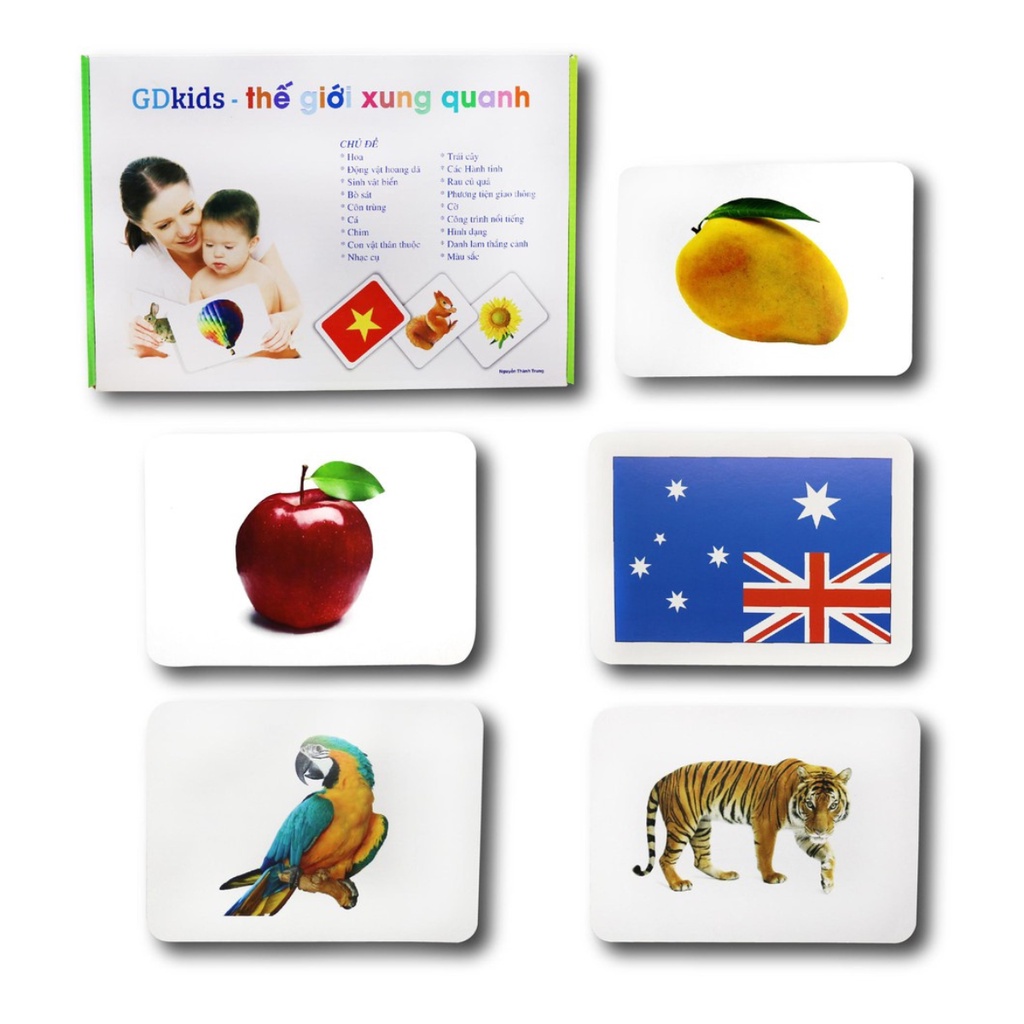 Flashcard glenn doman bộ thẻ học chuẩn cho trẻ sơ sinh đến 6 tuổi thế giới xung quanh toán chữ 259 thẻ Shop Bố Su