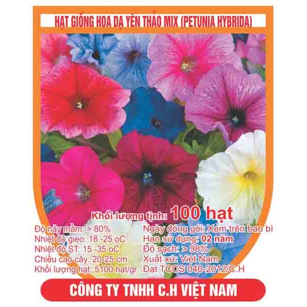 Hạt giống hoa dạ yến thảo