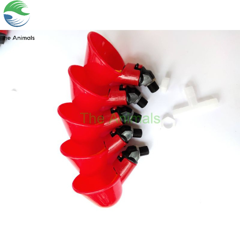 [COMBO 5 CÁI] Cốc uống nước tự động cho gà No brand