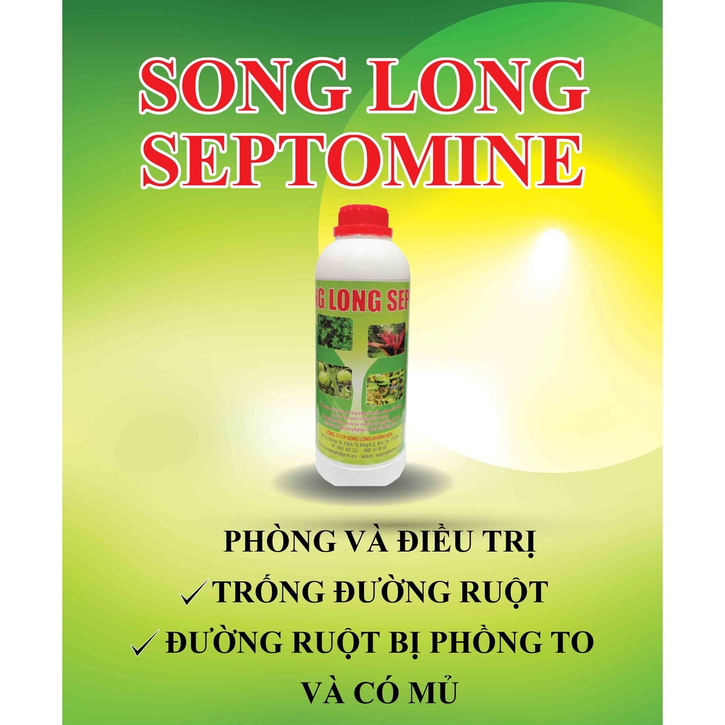 SONG LONG SEPTOMINE - ĐIỀU TRỊ HOẠI TỬ, XUẤT HUYẾT, PHỒNG ĐỎ ĐƯỜNG RUỘT