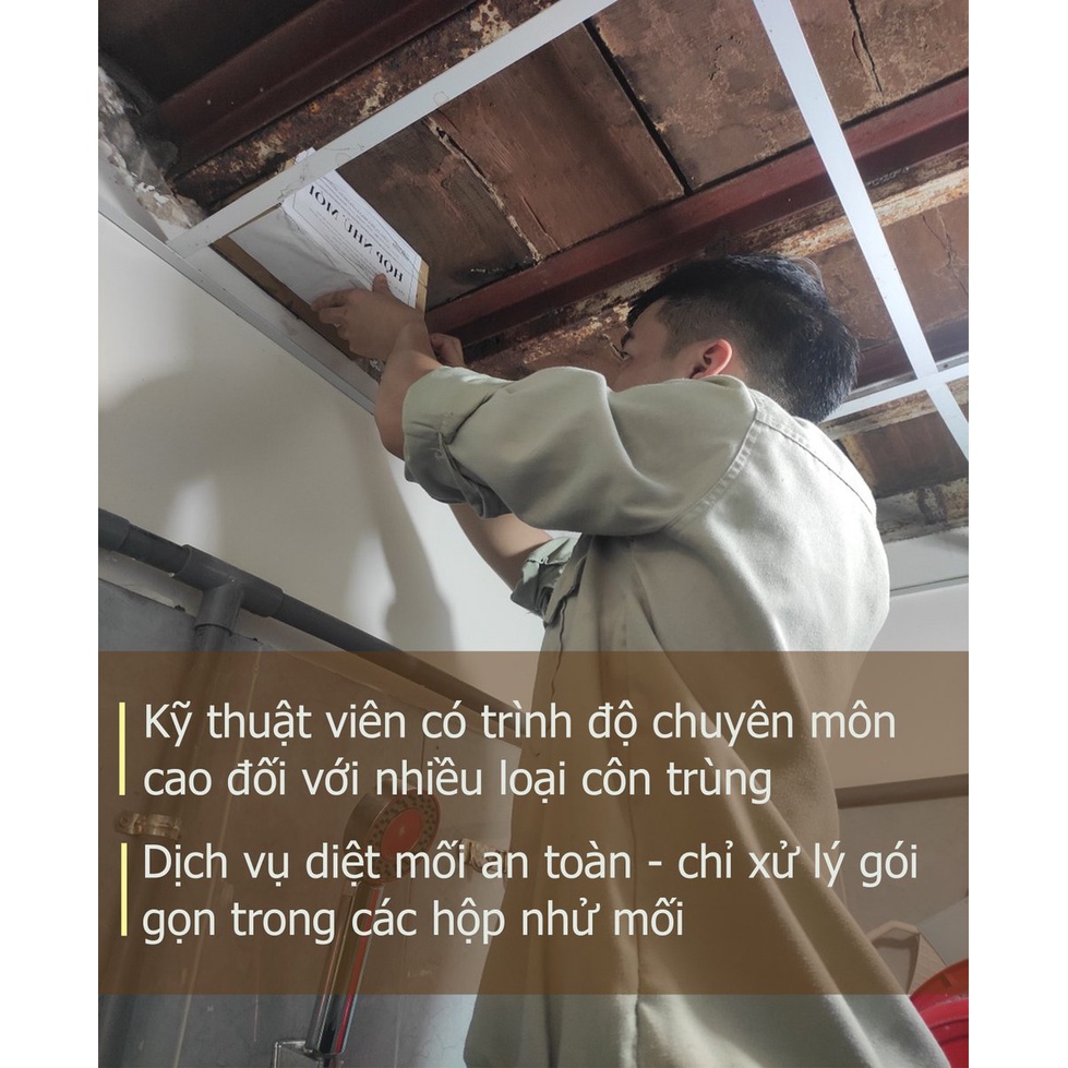 Thuốc diệt mối PMC-90 100g và 2 hộp nhử mối