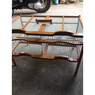 Lồng tắm 2 ngăn cho chòe,mào,mi,khiếu