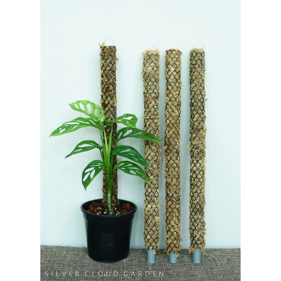 Trụ dớn bọc lưới (lõi nhựa)