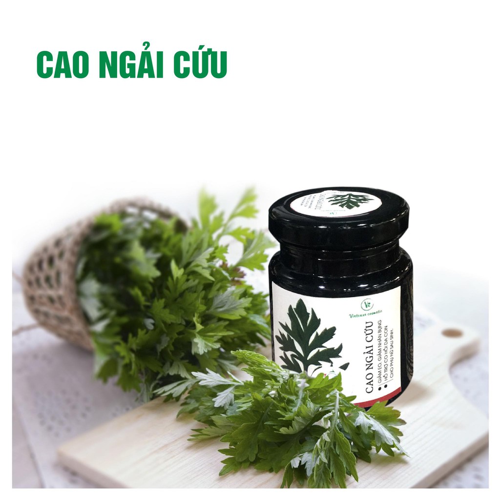 Cao Ngải Cứu Việt-care