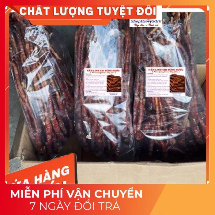 1Kg Nấm linh chi sừng hươu - Nâm sừng hưu Tây bắc