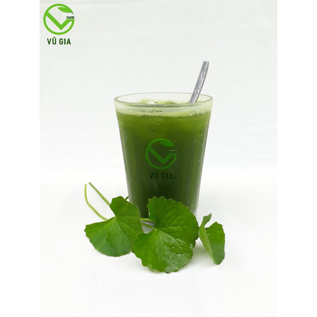 Combo Mật Ong Hoa Cà Phê 420g + Bột Rau Má Sấy Lạnh 50g - Nguyên Chất Vũ Gia