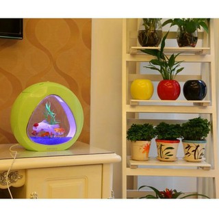 Tiểu cảnh bể cá mini để bàn đẹp mãi