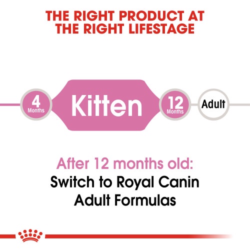 Thức Ăn Hạt Cho Mèo Royal Canin Kitten 400g 2Kg Dành Cho Mèo Con