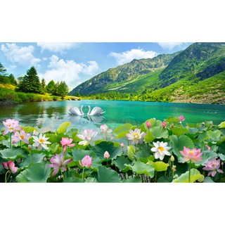 Tranh dán tường 3d hoa sen s067