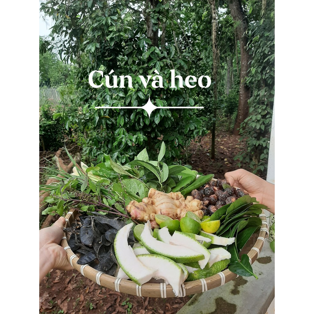 Combo 2 Cao Gội Bồ Kết Hà Thủ Ô 300ml & Cao Ủ Tóc Dừa Nha Đam 250g - HAIR SHAMPOO & INCUBATION 100% NATURAL Handmade