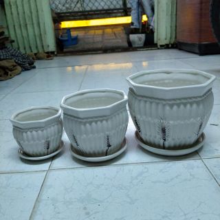 Bộ 3 chậu sứ  trồng cây để bàn