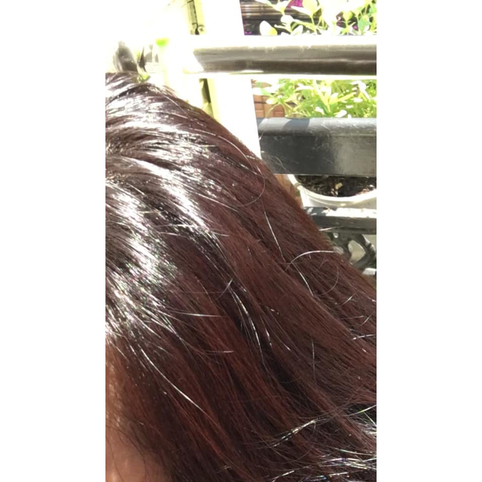 phủ bạc nhật chính hãng ( gội là nâu gội là đen) | BigBuy360 - bigbuy360.vn