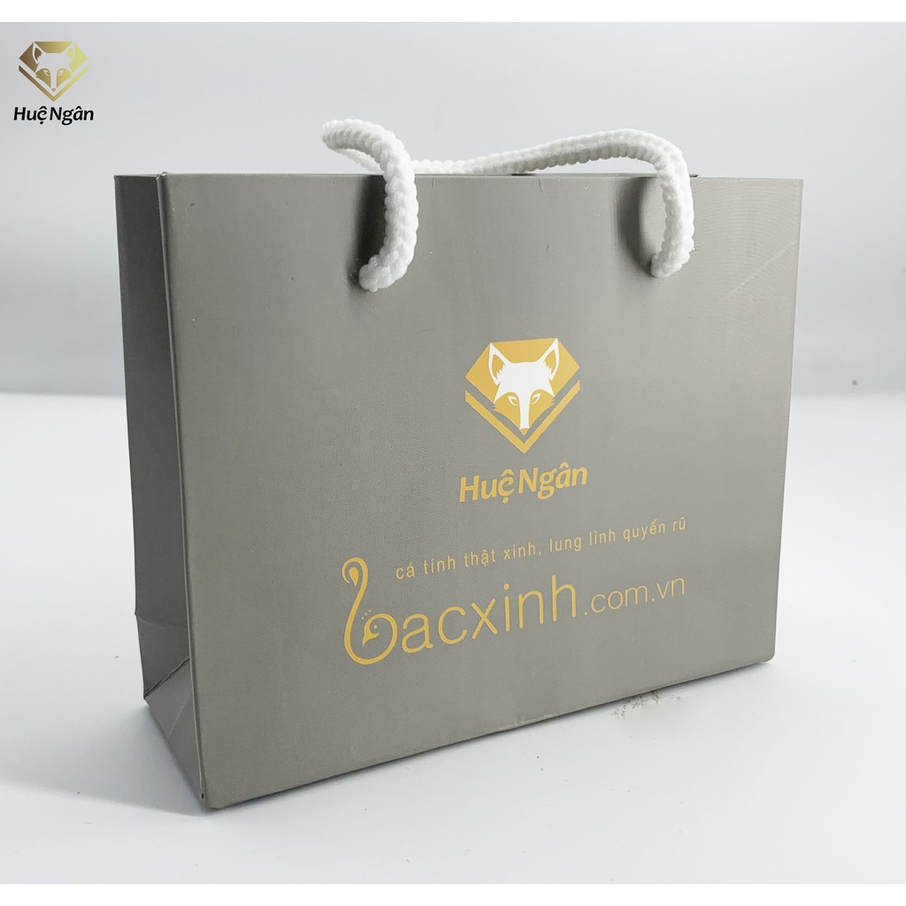 Túi giấy cứng Huệ Ngân TTSHN01