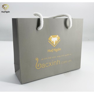 Túi quà tặng giấy cứng TTSHN01