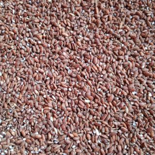 Gạo đỏ - gạo lúa rẫy 1kg