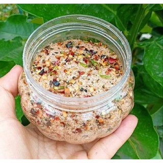 MUỐI CHẨM CHÉO TÂY BẮC