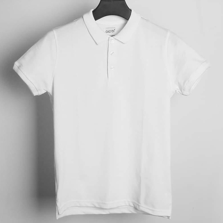 Áo polo nam trơn đẹp áo phông thun nam hàng hiệu có cổ đen trắng FAVITI AT01 | BigBuy360 - bigbuy360.vn