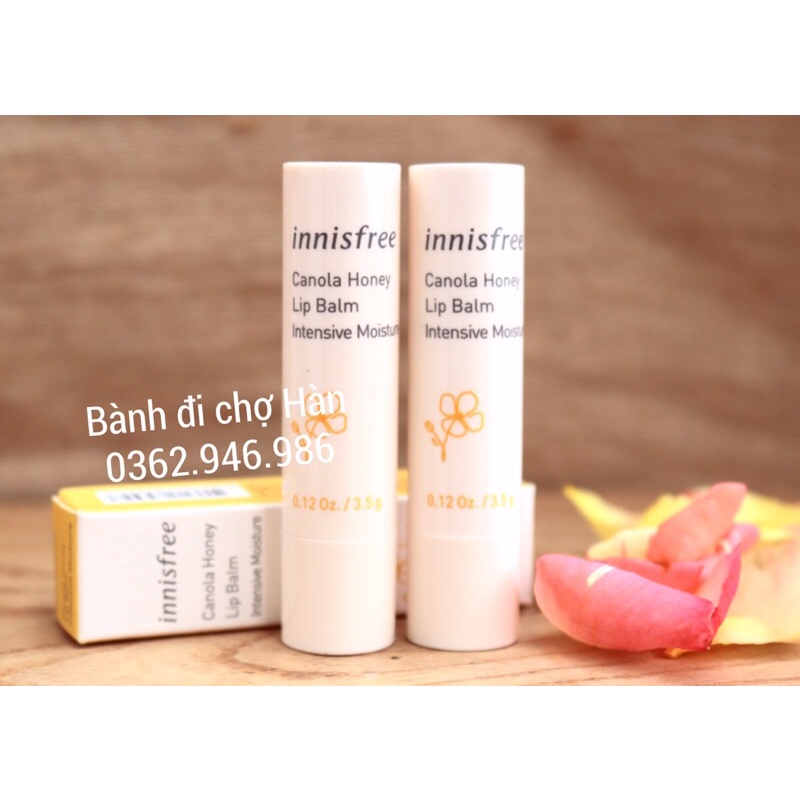 Son Dưỡng Môi Innisfree Canola Honey Lip Balm