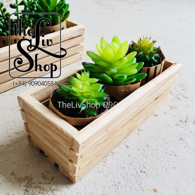 Chậu gỗ trồng cây (20cm)