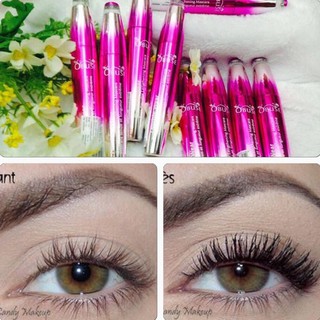 Mascara Obuse Thái Lan
