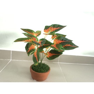 Cây giả trang trí nhà cửa, decor - cành lá giả cắm chậu 30cm, 5 nhánh lá - VNG-060 (chua bao gồm chậu)