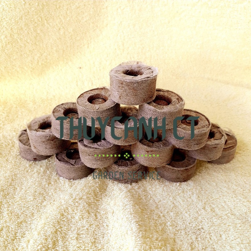 105 Viên nén xơ dừa, viên nén ươm hạt loại dày cao 60mm